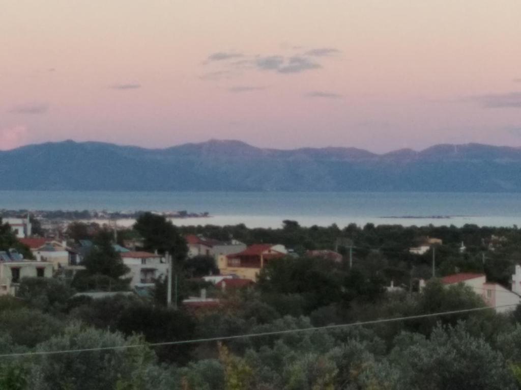 Príroda v okolí dovolenkového domu