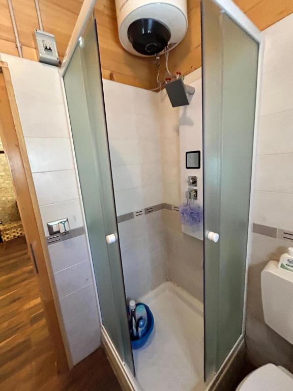 una doccia con una porta in vetro in un bagno di CARPE DIEM RETAFANI Roger's house ad Altipiani di Arcinazzo
