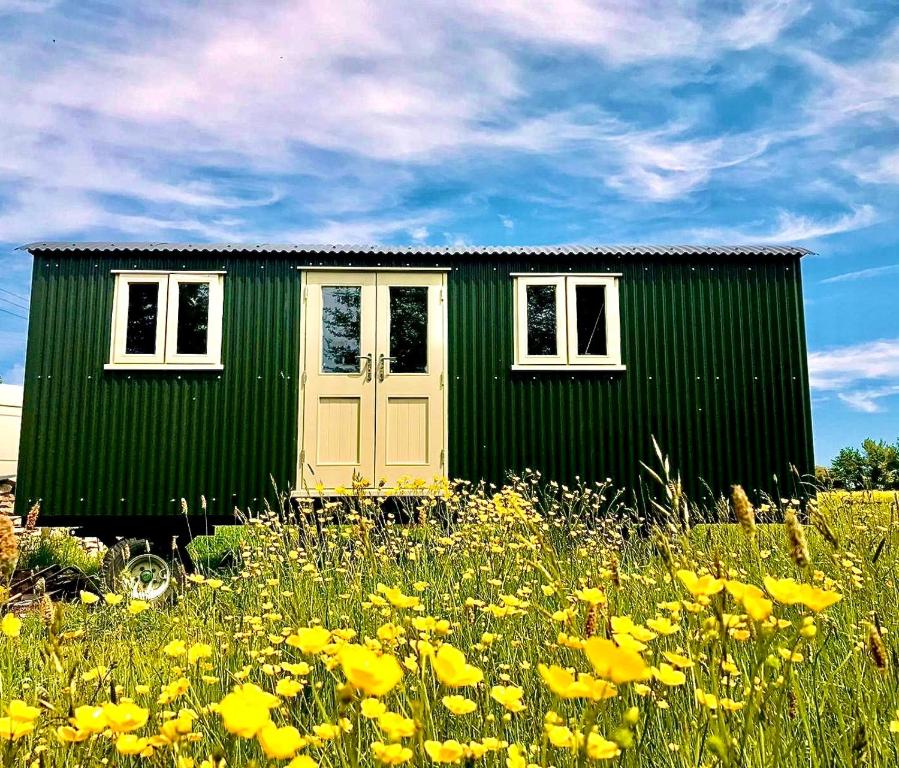 une petite maison verte dans un champ de fleurs dans l'établissement The Old Post Office - Luxurious Shepherds Hut 'Far From the Madding Crowd' based in rural Dorset., à Todber