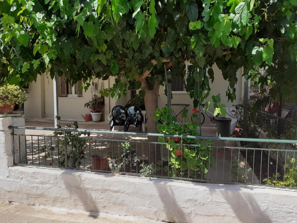 a fence in front of a building with plants at Vivari's Family House in Nafplio