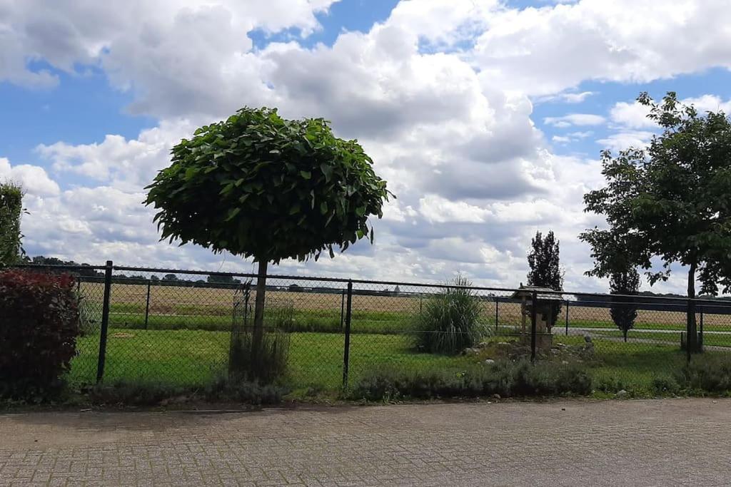 a tree sitting next to a fence in a field at appartement in authentiek koetshuis met bedstee in Moerstraten