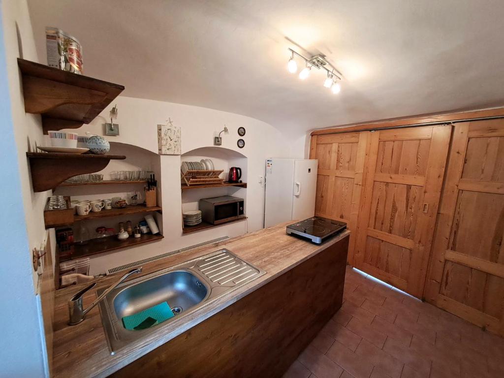 a kitchen with a sink and a refrigerator at Kamélie in Česká Kamenice