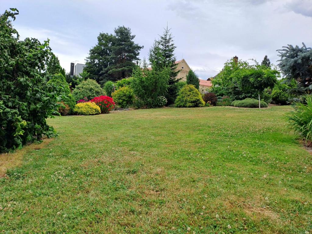 a yard with a large lawn with trees and bushes at Kamélie in Česká Kamenice