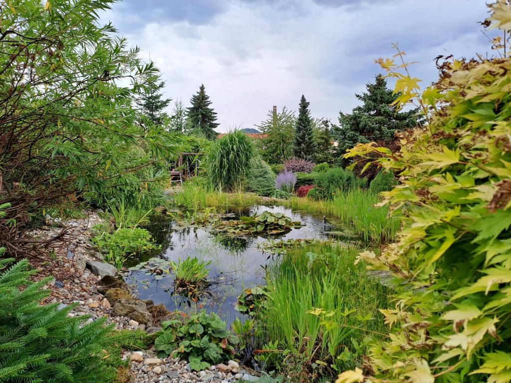 a pond in the middle of a garden at Kamélie in Česká Kamenice