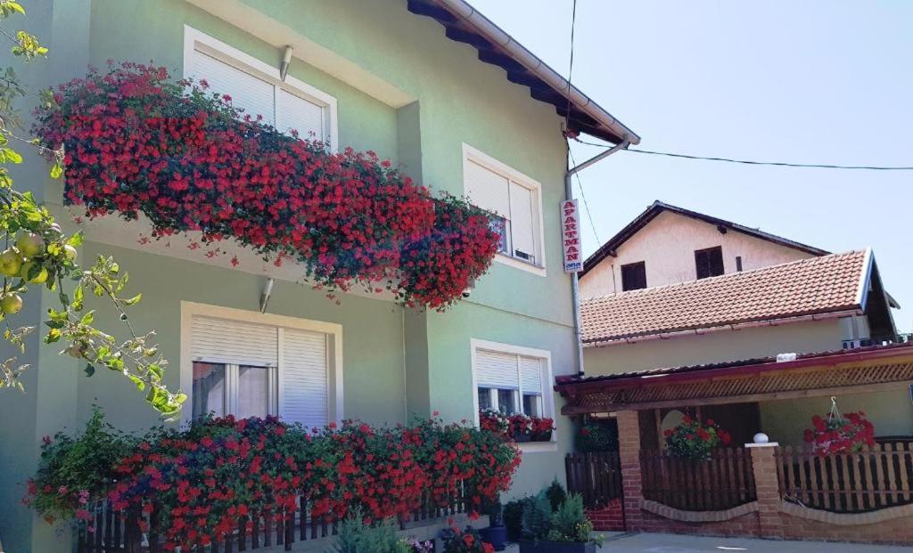 Gračac的住宿－ANA，旁边是一座红花的房子