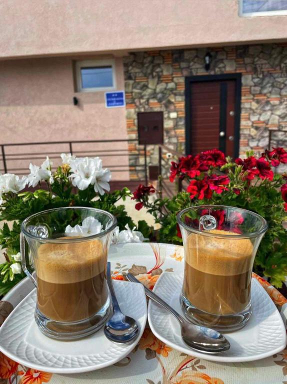 Příslušenství pro přípravu čaje a kávy v ubytování GOPO Guesthouse Elshani