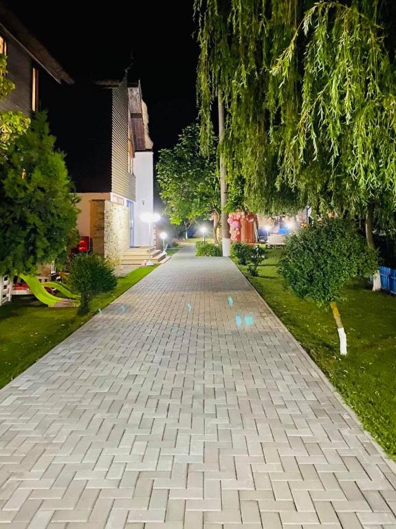 Zahrada ubytování Pensiunea Complex Castalia
