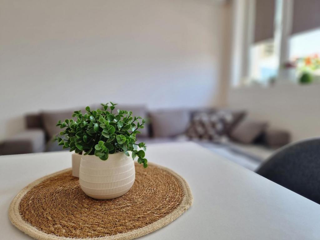 a plant in a white vase sitting on a table at Apartman REA 1 in Pirot