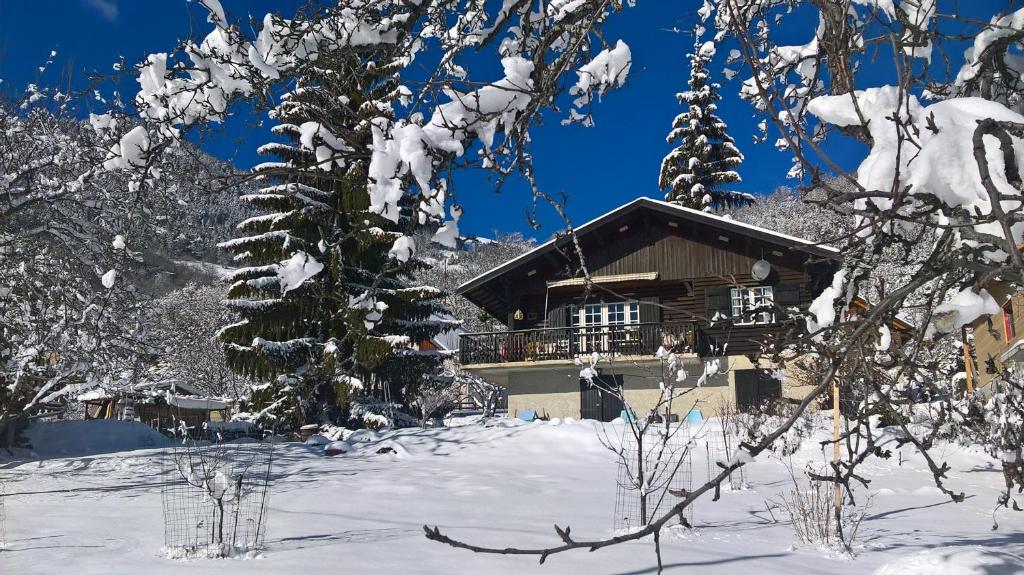 a cabin in the snow with snow covered trees at CHALET HARMONIE in Auris