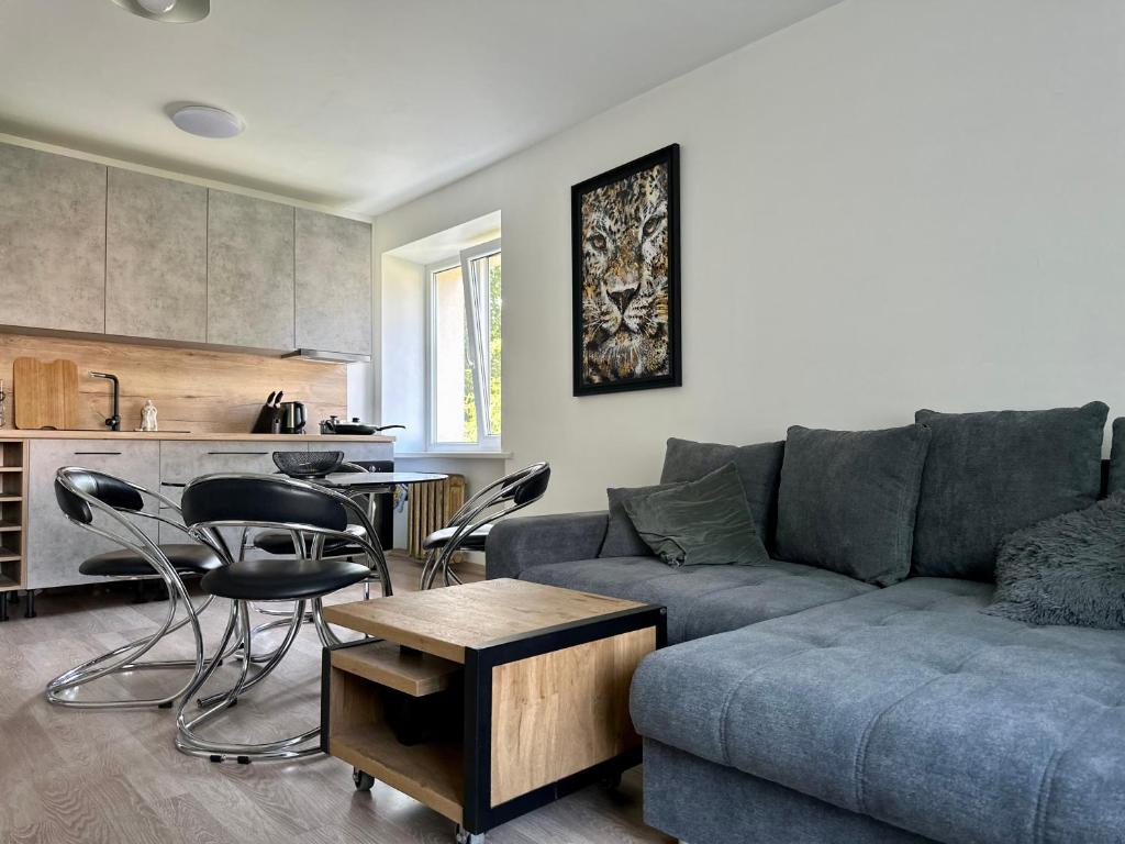 a living room with a couch and a table and a kitchen at Riga Mezaparks apartment + private parking in Rīga