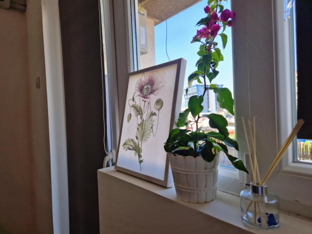 a window sill with a picture and a potted plant at Apartman REA 1 in Pirot