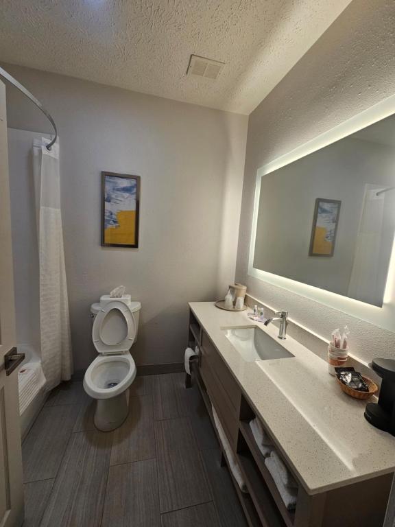 Comfort Inn Jackson I-40 - Zimmer Mit Kingsize-Bett – Nichtraucher