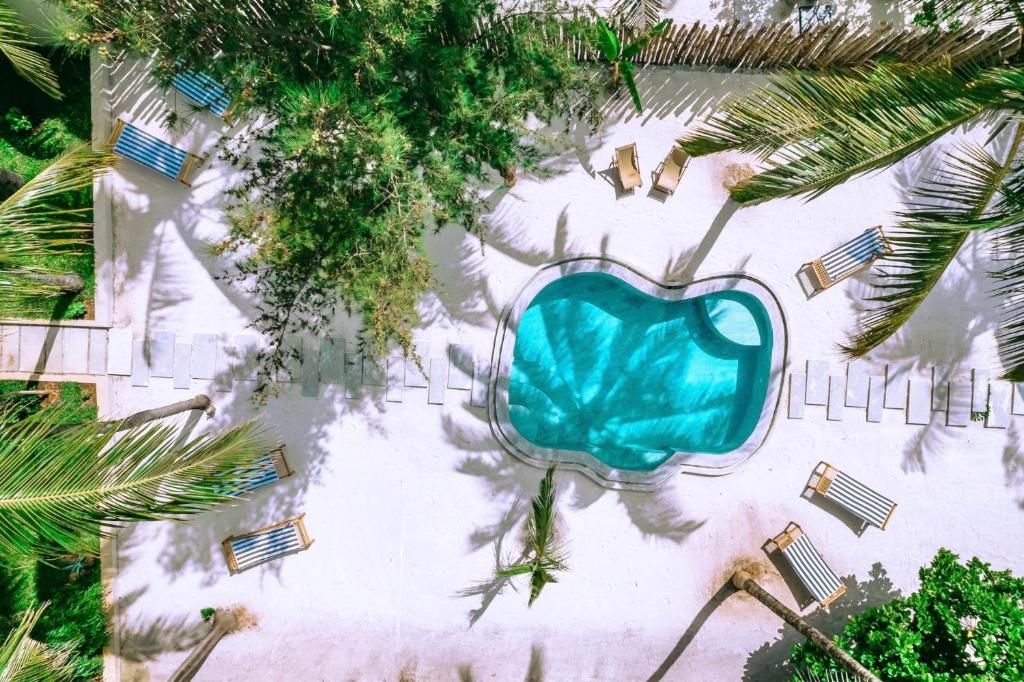 an overhead view of a pool with a blue chair at RoRi Private Luxury Villas in Bwejuu