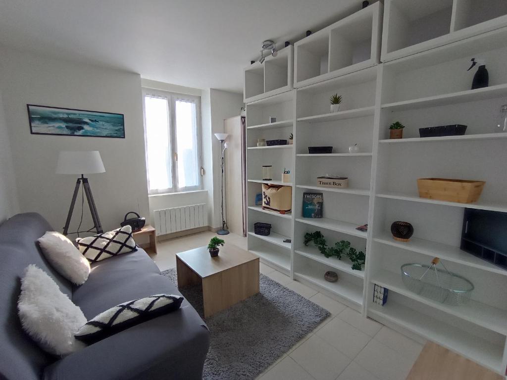un salon avec un canapé et une étagère dans l'établissement Appartement en bord de mer entre Saint Malo et le Mont Saint Michel, à Saint-Benoît-des-Ondes