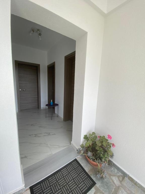 Fotografie z fotogalerie ubytování Bafas Apartments v destinaci Plataria