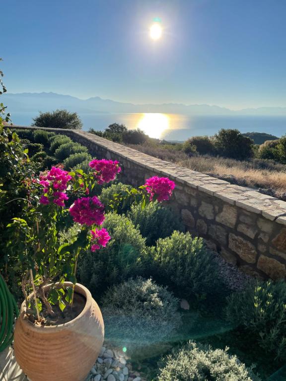 a garden with pink flowers and a stone wall at Stonevillas and Seaview Garden Marion in Agnándion