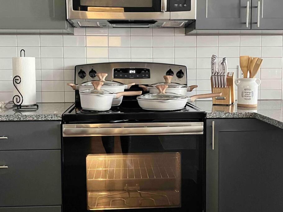 Kuchyň nebo kuchyňský kout v ubytování Luxurious 1BD apt in Austin suburb