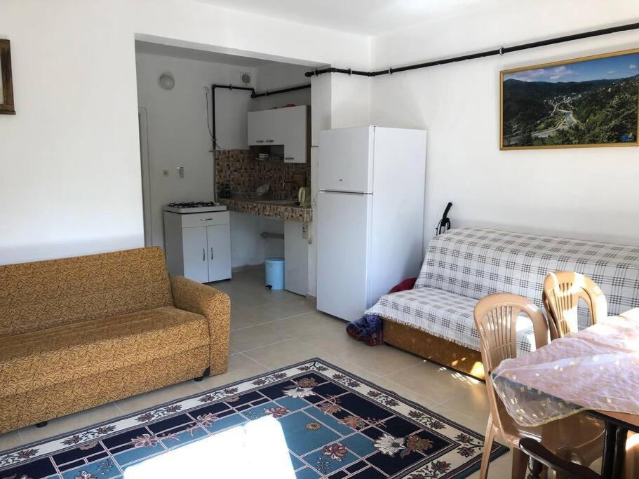 mały salon z kanapą i kuchnią w obiekcie Yazlık bahçe katı daire w mieście Armutlu