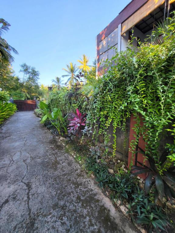 Zahrada ubytování Exotic Backpackers