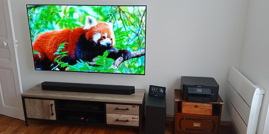 TV a/nebo společenská místnost v ubytování L'Isard