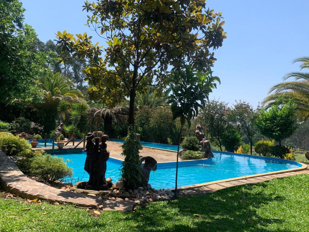 una piscina con un albero al centro di Bouça do Sossego a Ribeirão