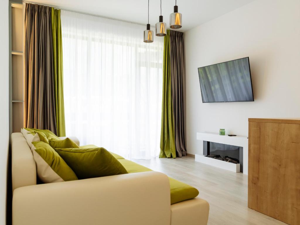 a living room with a couch and a television at Nature Loft by the river in Buşteni
