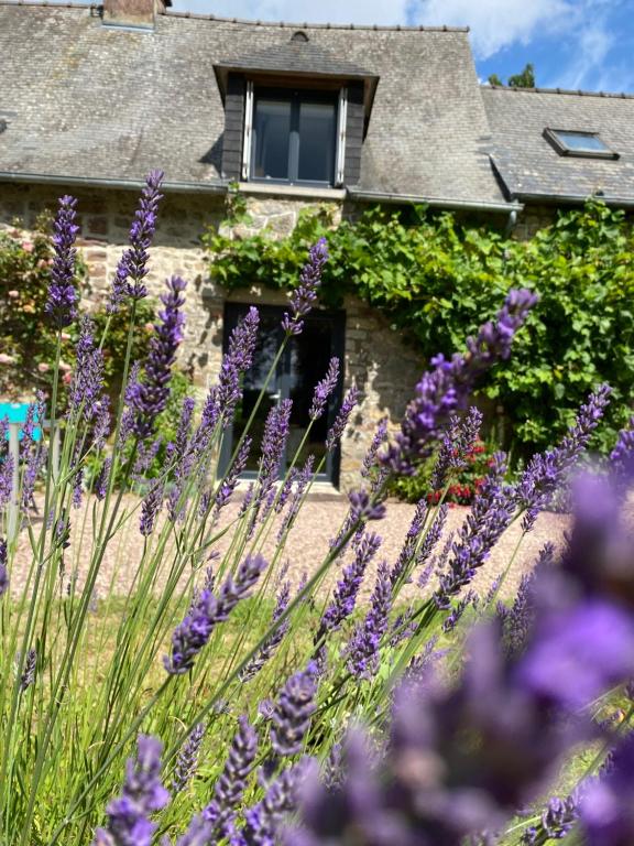 潘蓬的住宿－L'Hôtié de Brocéliande à Paimpont, au coeur des sites naturels et légendaires，一座花园,在房子前面种有紫色的花朵