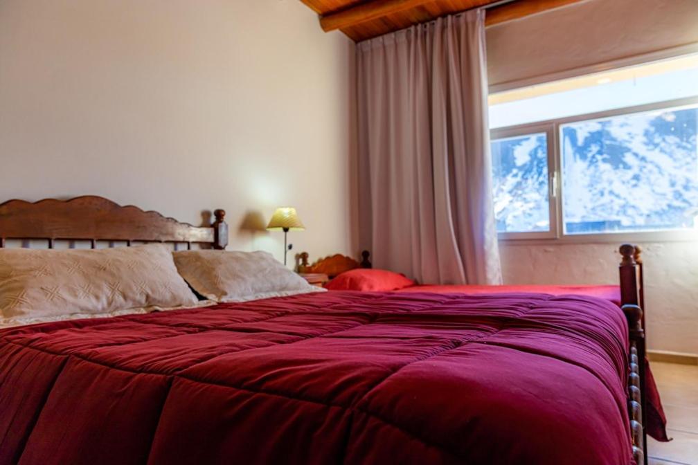 Voodi või voodid majutusasutuse Hotel Nitra-Caviahue toas