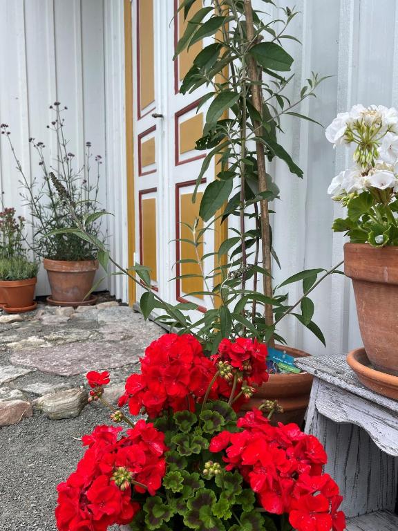 Zahrada ubytování Gårdsfrun B&B