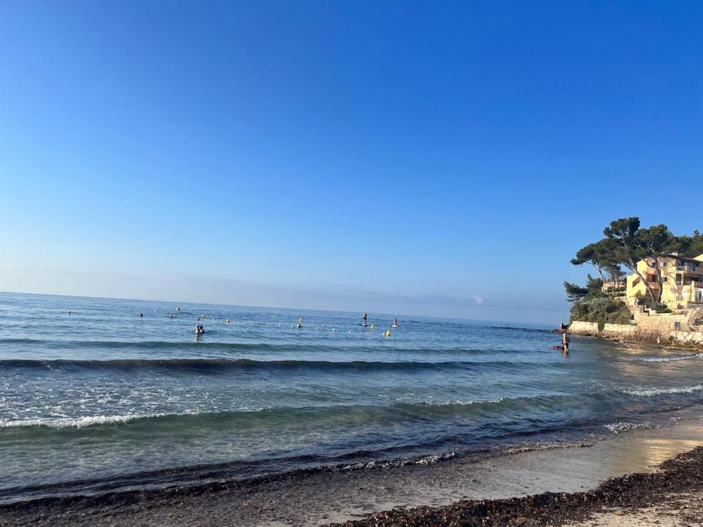 un groupe de personnes dans l'eau à la plage dans l'établissement Studio cosy avec terrasse sur la plage, à La Seyne-sur-Mer