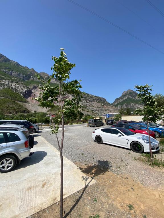 Kulla e Vjeter (Bar Restaurant, Guesthouse, Parking and Camping) - Image 10