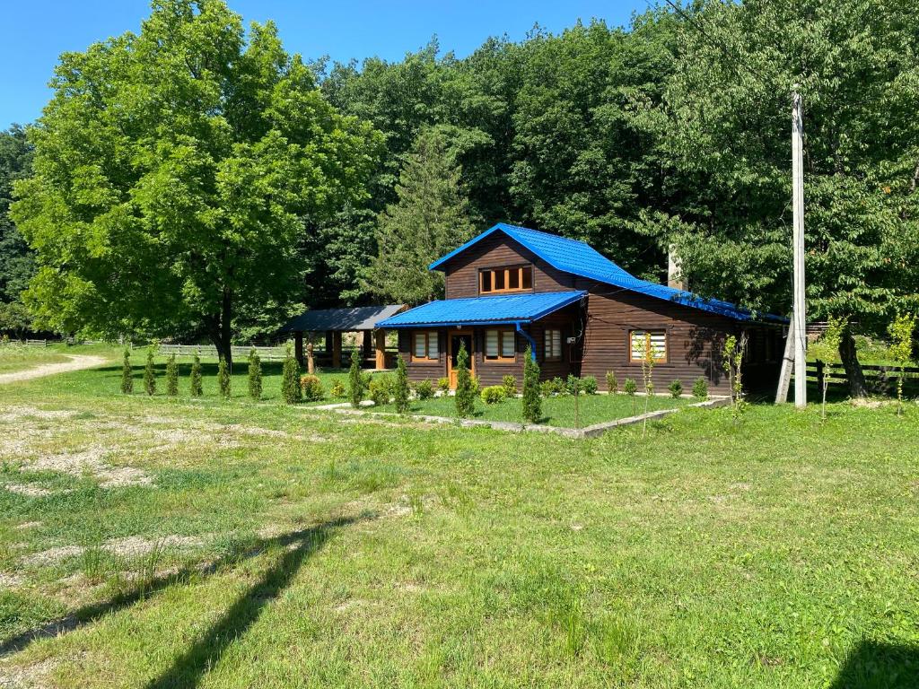 une petite cabane en bois avec un toit bleu dans un champ dans l'établissement Солонець, à Chereshenka
