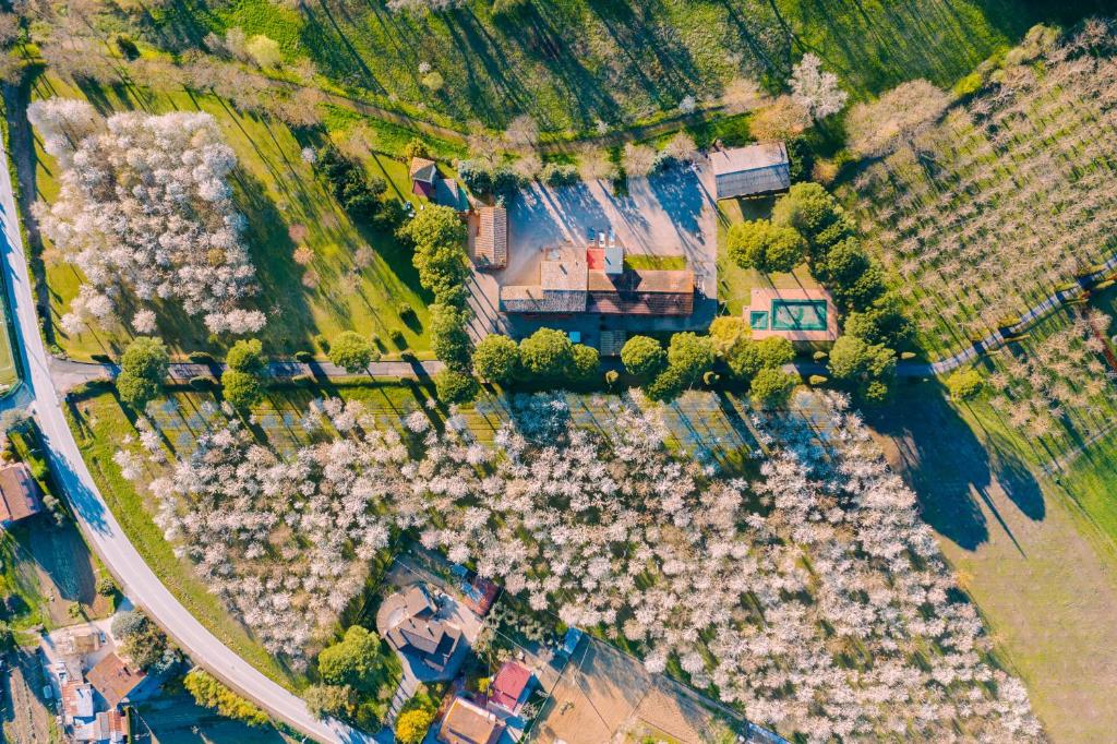 Hotel La Torretta - Resim 13