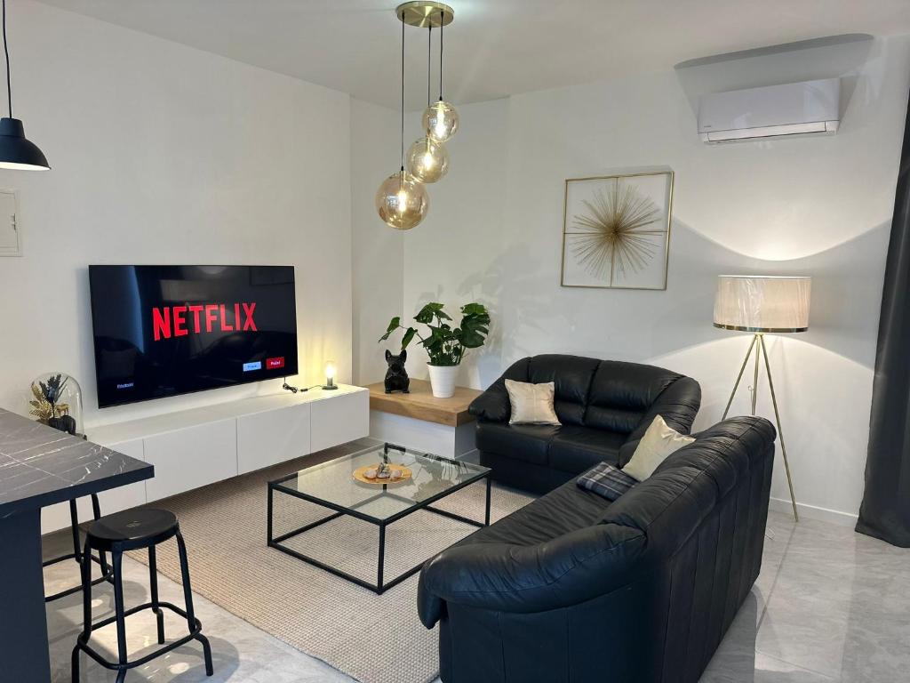 a living room with a couch and a tv at Iris apartment in Vižinada