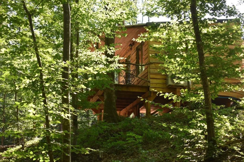 a tree house in the middle of the woods at La cabane aux écureuils in Philippeville