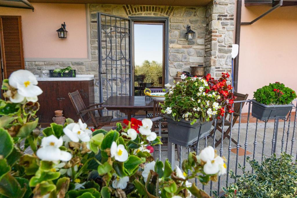 Zahrada ubytování Alma Toscana