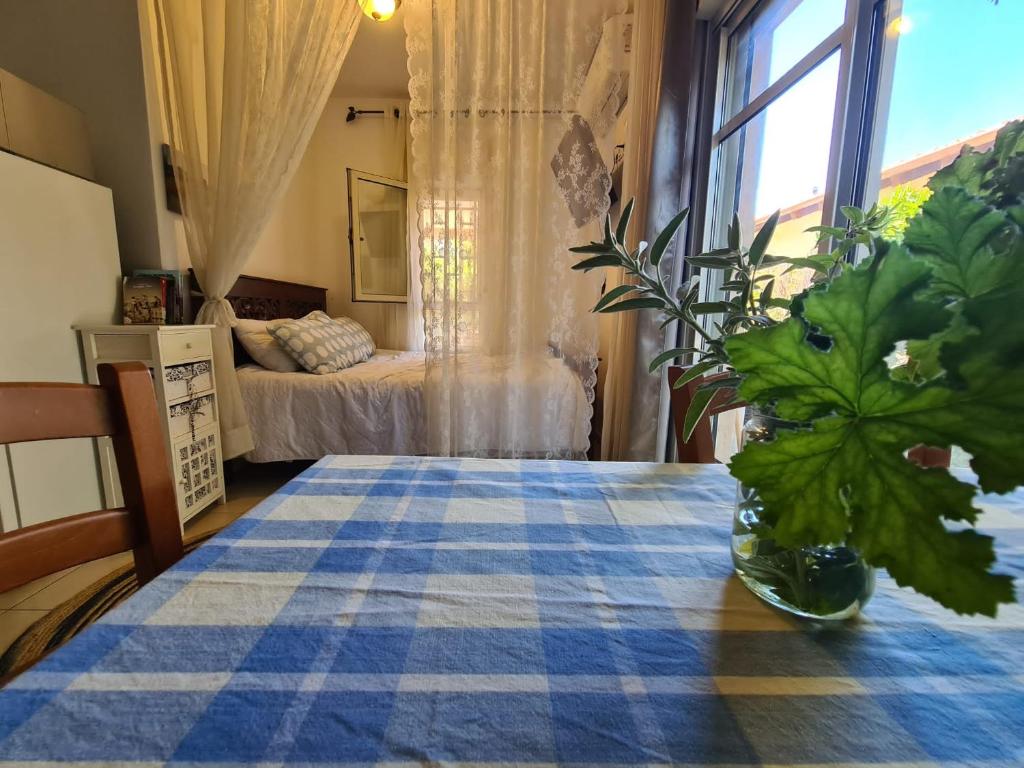 Shefer的住宿－ארוח האגוזים，客厅配有一张桌子和蓝色的桌布