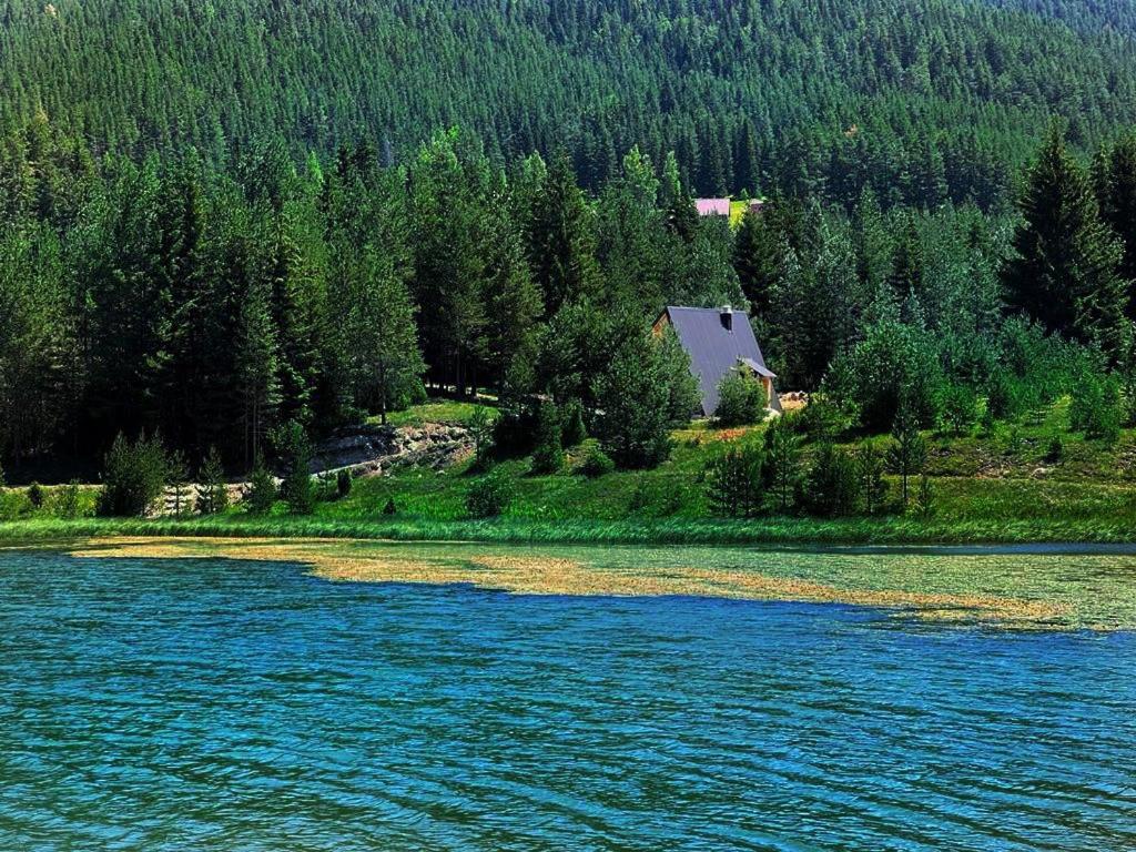 een huis op een heuvel naast een rivier bij Zminica Lake House in Žabljak