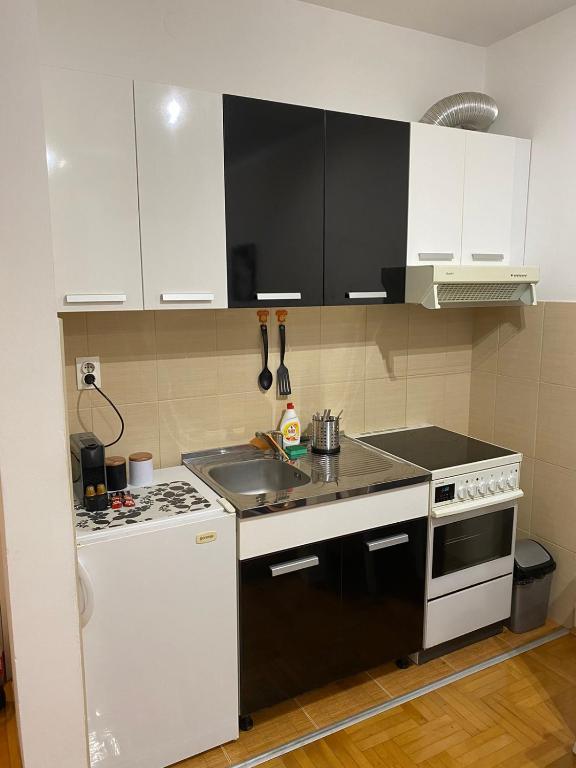 Kuchyň nebo kuchyňský kout v ubytování Apartman Breza 3