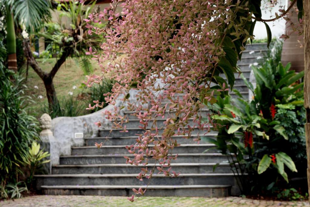 Zahrada ubytování Pousada Villa Magnolia