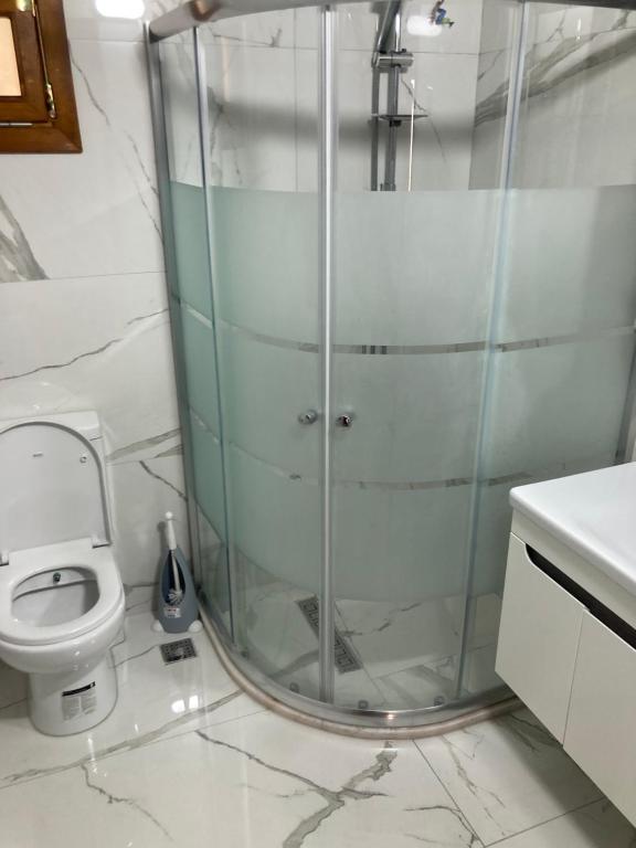 La salle de bains est pourvue d'une douche, de toilettes et d'un lavabo. dans l'établissement ORMAN AHŞAP EV, à Cayeli