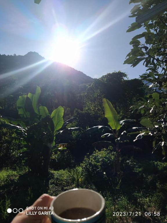 eine Tasse Kaffee mit der Sonne im Hintergrund in der Unterkunft Hospedaje Sauces - Cerro Chirripó in Herradura