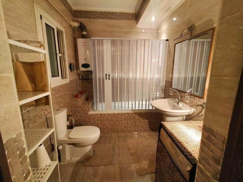 a small bathroom with a toilet and a sink at Elegant apartment in zamalek in Cairo