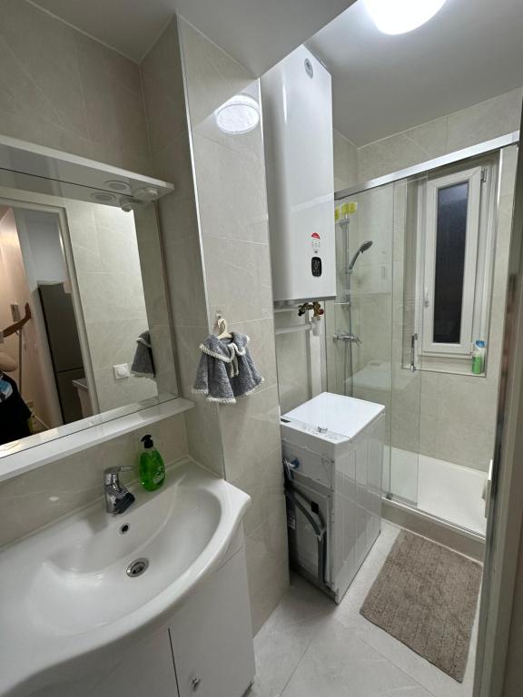 een witte badkamer met een wastafel en een douche bij studio paris 12 in Parijs