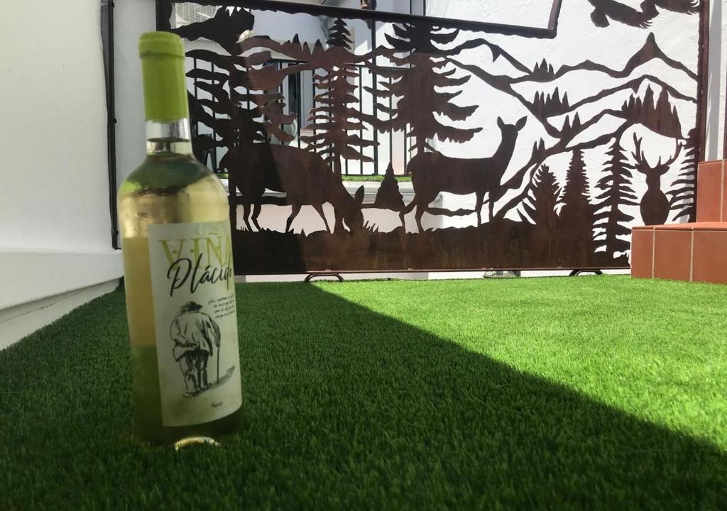 Casa Rural Relax & Nature في برادو ديل ري: زجاجة من النبيذ موضوعة على العشب أمام لوحة