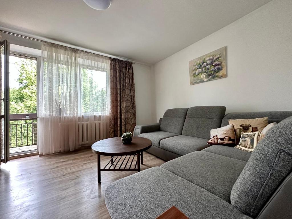 een woonkamer met een bank en een tafel bij Riga Mezaparks Apartment in Rīga