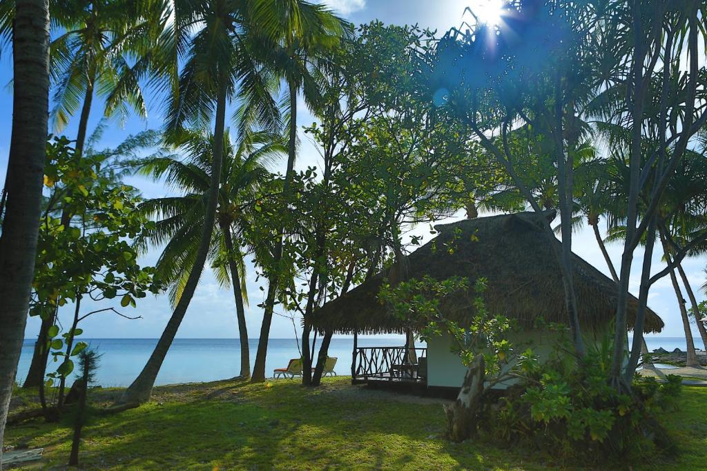 Raira Lagon, Avatoru - photo 9 - Rangiroa, Polynésie