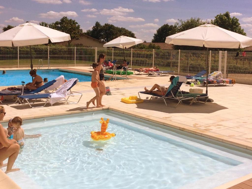 un groupe de personnes jouant dans une piscine dans l'établissement Modern villa with private pool in the beautiful Loire, à Les Forges