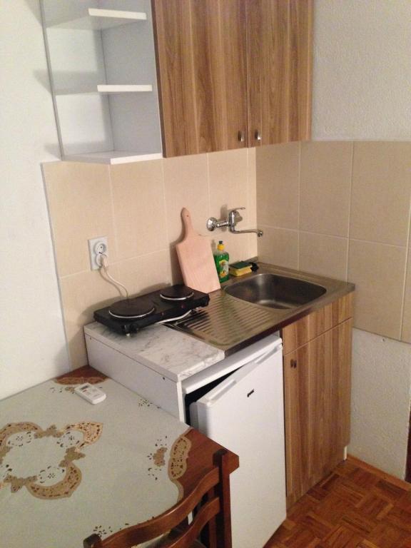 Kuchyň nebo kuchyňský kout v ubytování Apartments Aleksic