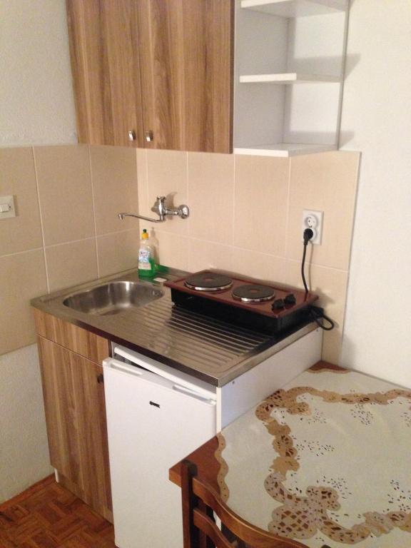 Kuchyň nebo kuchyňský kout v ubytování Apartments Aleksic